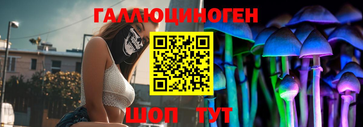 Псилоцибиновые грибы Psilocybe Медногорск
